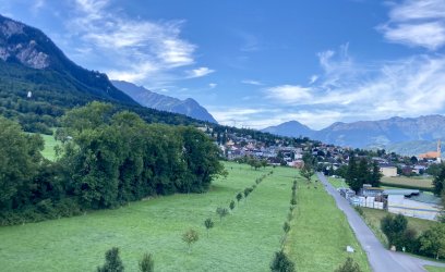 IMG_4345.jpeg