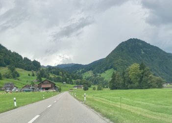 IMG_4353.jpeg