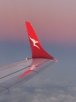IMG_4541.jpeg