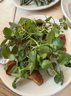 IMG_2585.jpeg