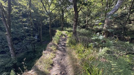 IMG_7127.jpeg