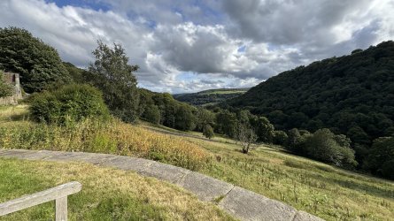 IMG_7188.jpeg