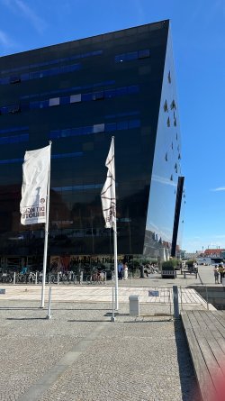 IMG_8809.JPEG