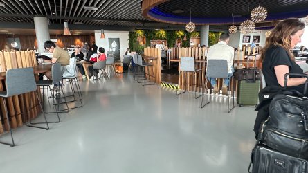 IMG_8833.JPEG