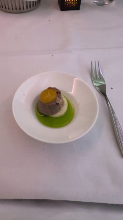 IMG_8858.JPEG