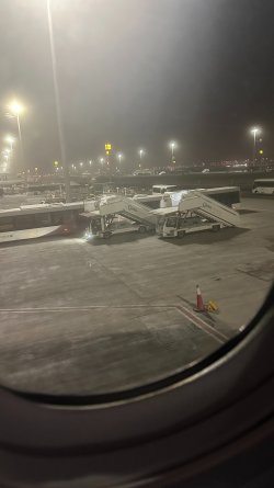 IMG_8882.JPEG