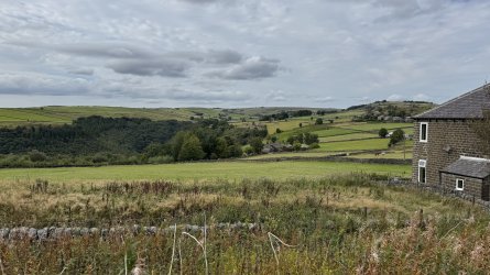 IMG_7268.jpeg