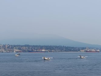 IMG_20250904_131355715_AE.jpg