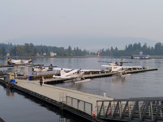 IMG_20250905_083850435_AE.jpg