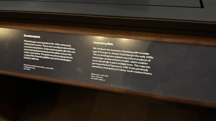 IMG_7313.jpeg IMG_7313.jpeg