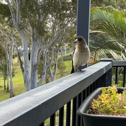 IMG_4810.jpeg