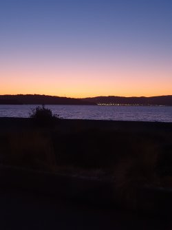 20250907_182852.jpg