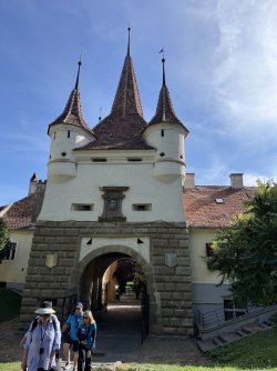 IMG_9822.jpeg