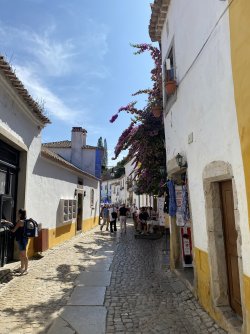 IMG_1451.jpeg
