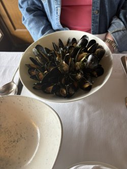 IMG_2784.jpg
