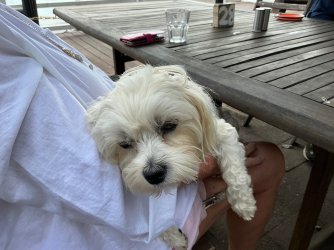 IMG_4594.jpeg IMG_4594.jpeg