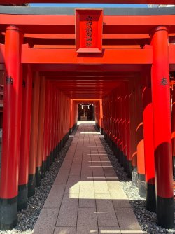 IMG_2307.jpeg