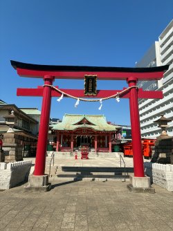 IMG_2313.jpeg