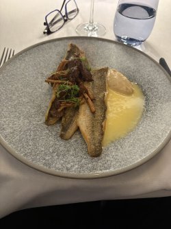 IMG_3586.jpeg