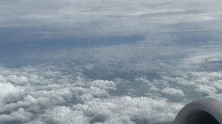 IMG_7686.jpeg