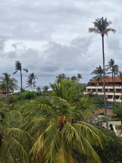 20250909_092153.jpg