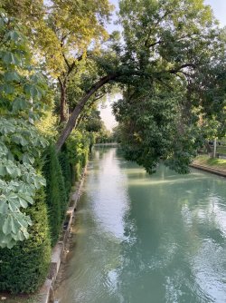 IMG_4390.jpeg