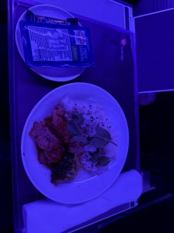IMG_1459.jpeg