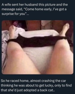 Rats!.jpeg