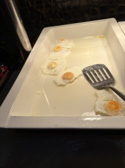 IMG_2350.jpg