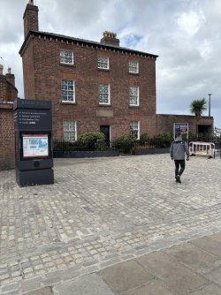 IMG_2382.jpg
