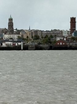 IMG_2387.jpg