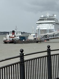 IMG_2394.jpg