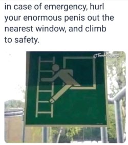 1d3e8dfd-e8c7-4f39-92fb-5fc84f1bb240.jpeg