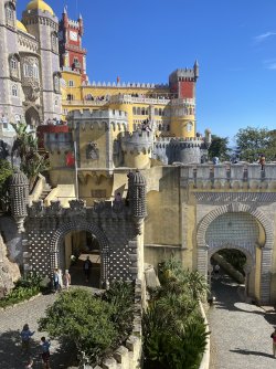 IMG_1599.jpeg
