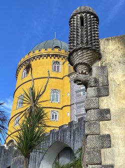 IMG_1548.jpeg