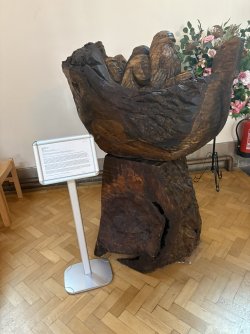 IMG_2420.jpg