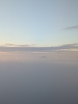 PXL_20250824_201611816.jpg