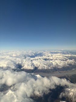IMG_2375.jpeg
