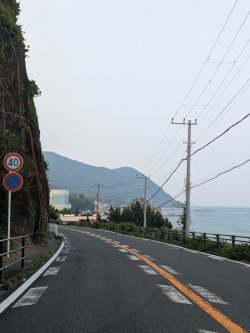 PXL_20250825_080007750.MP.jpg