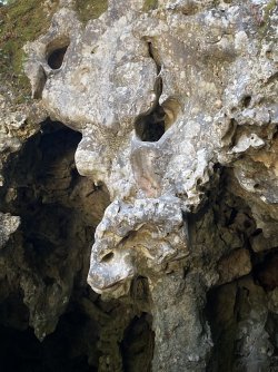 IMG_1640.jpeg