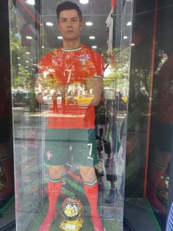 IMG_1665.jpeg
