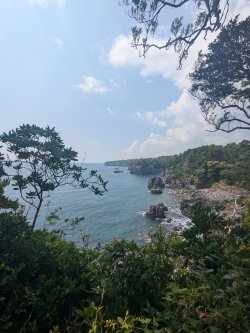 PXL_20250826_013758472.jpg