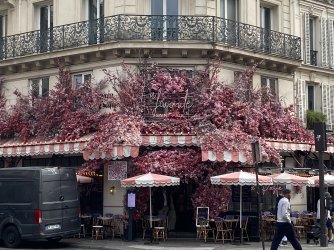 IMG_1681.jpeg