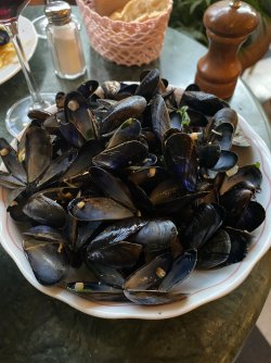IMG_1755.jpeg