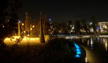 IMG_4446.jpeg