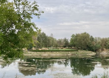 IMG_4462.jpeg