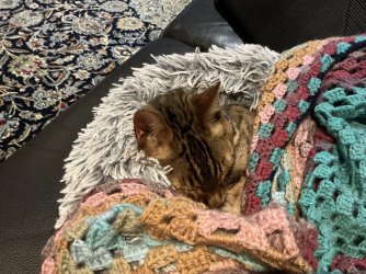 IMG_1981.jpeg