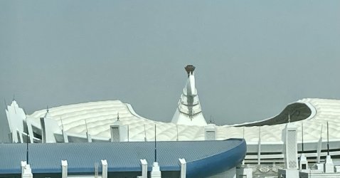 IMG_4543.jpeg