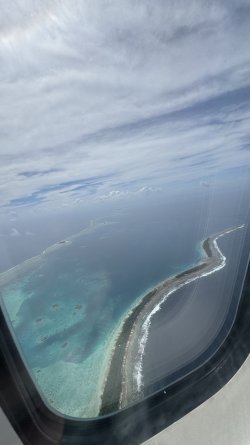 IMG_9846.jpeg