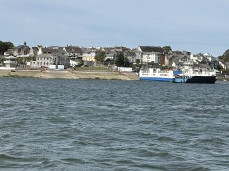 IMG_2635.jpg